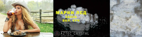стаф Белокуриха