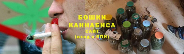стаф Белокуриха