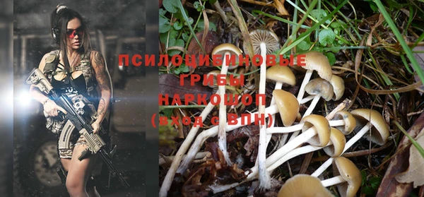 синтетический гашиш Бронницы