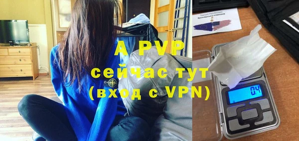 стаф Белокуриха