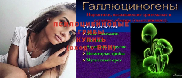 стаф Белокуриха